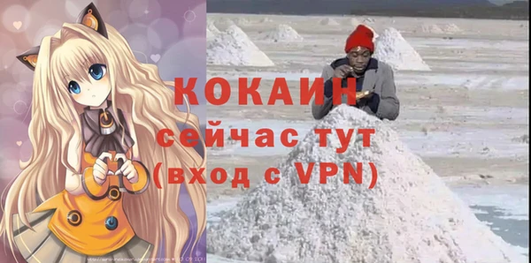 дмт Арсеньев