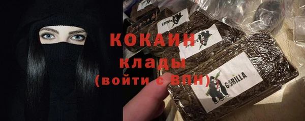 дмт Арсеньев