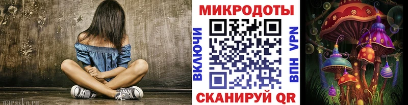 Псилоцибиновые грибы Psilocybine cubensis  Серов 